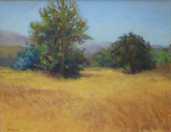 Linda F. Harris, Pleasanton Field, pastel 10 1/2 x 13