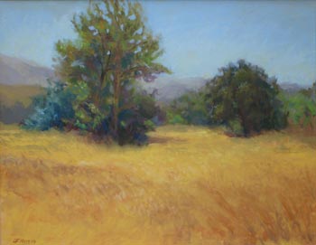 Linda F. Harris - Pleasanton Field, pastel 10 1/2 x 13 