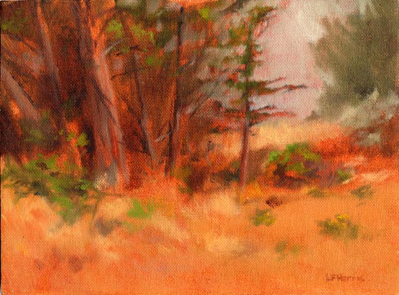 Linda F. Harris, Asilomar Glen, Oil, 6x8