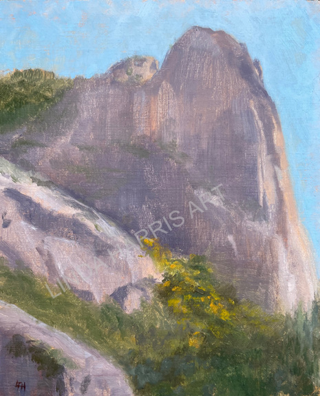 Linda F. Harris - Virginia, Oil 16x20